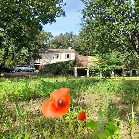 Du Coquelicot Dions
