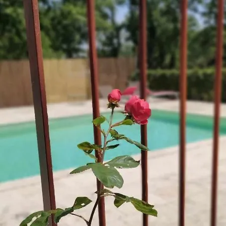 住宿加早餐酒店 Du Coquelicot Dions